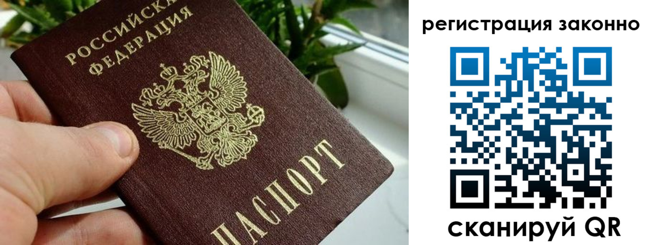 прописка гарантия в Георгиевске